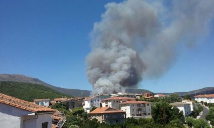 El fuego obliga a desalojar a los vecinos de Perales del Puerto, Acebo y el camping de Gata