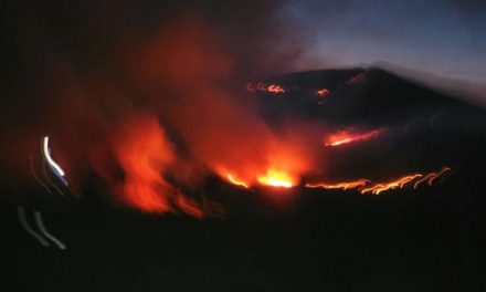 El incendio de Sierra de Gata obliga a evacuar a los vecinos de Hoyos hasta Coria y Moraleja