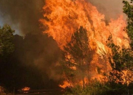 Un total de seis carreteras de Sierra de Gata permanecen cortadas por el incendio forestal