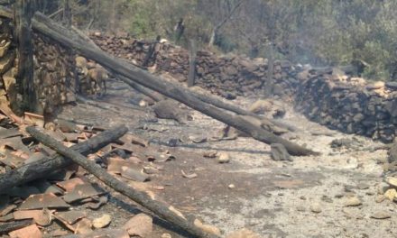 Los vecinos de Trevejo son trasladados a Villamiel durante la noche por el incendio de Sierra de Gata