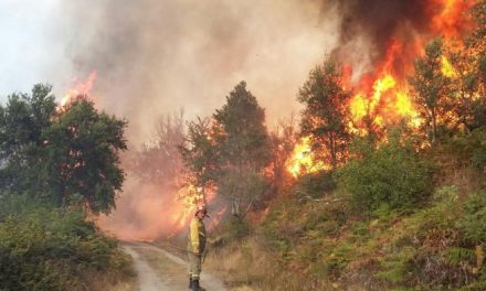 La Unidad Militar de Emergencia califica de «dantescos» los efectos del fuego en Sierra de Gata