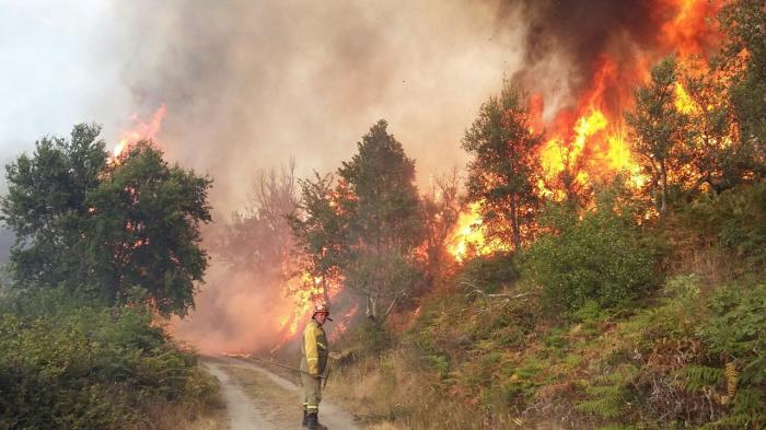 La Unidad Militar de Emergencia califica de «dantescos» los efectos del fuego en Sierra de Gata