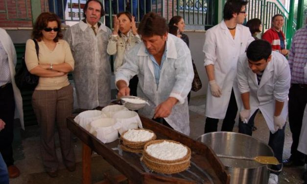 Unos 500 alumnos de Coria se desayunan con aceite Gata-Hurdes y aprenden a elaborar queso de la Serena