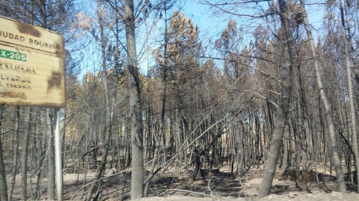 El Mando Único del Plan Infoex da por controlado el incendio de la comarca de Sierra de Gata