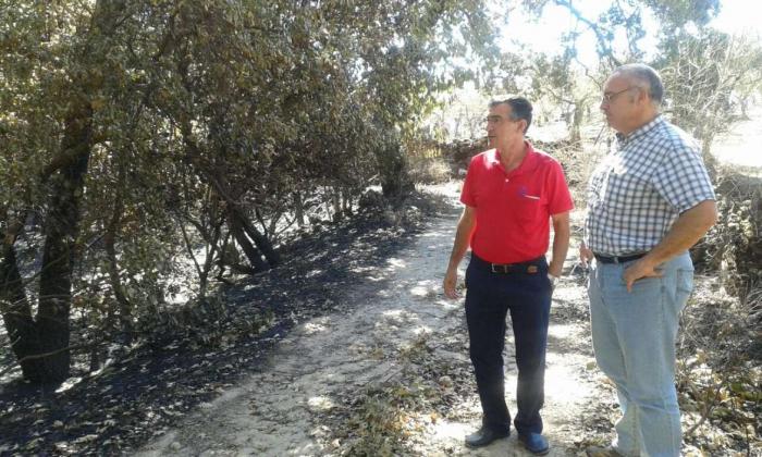 Desarrollo Rural evalúa las infraestructuras rurales de Perales afectadas por el incendio de Sierra de Gata