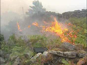 El Plan Infoex recuerda que el incendio de Sierra de Gata está controlado pero no extinguido