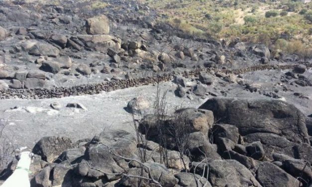 El Ayuntamiento de Hoyos recomienda no adentrarse en el monte arrasado por el incendio de Sierra de Gata
