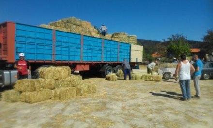La Diputación de Cáceres realiza una segunda entrega de heno a los ganaderos de la Sierra de Gata