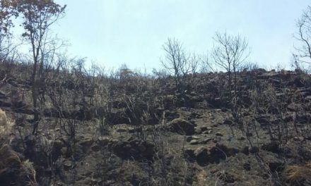 Medio Ambiente declara zona de actuación urgente los terrenos afectados por el incendio de Sierra de Gata