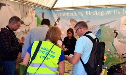 Extremadura promociona su turismo ornitológico en la principal feria especializada de Suecia