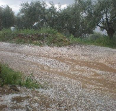 Una fuerte tormenta de granizo afecta a más de 1.000 hectáreas en Monterrubio de la Serena