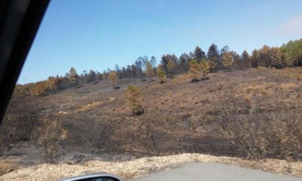 La Agrupación de Hoyos denuncia malas condiciones de trabajadores que limpian terreno quemado en la sierra