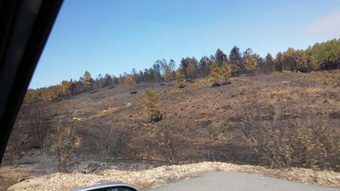 La Agrupación de Hoyos denuncia malas condiciones de trabajadores que limpian terreno quemado en la sierra