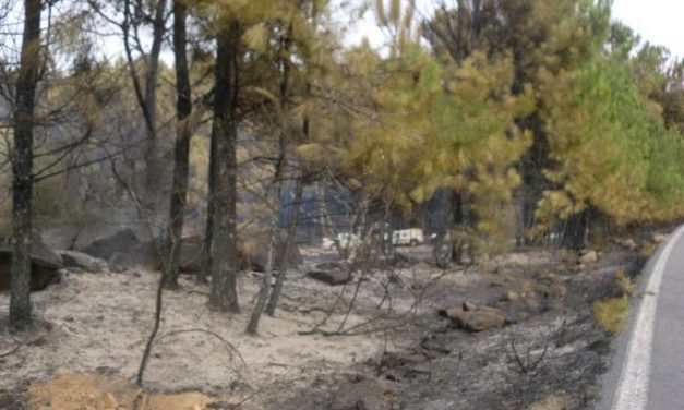 La Asamblea aprueba la creación de una comisión de investigación sobre el incendio de Sierra de Gata