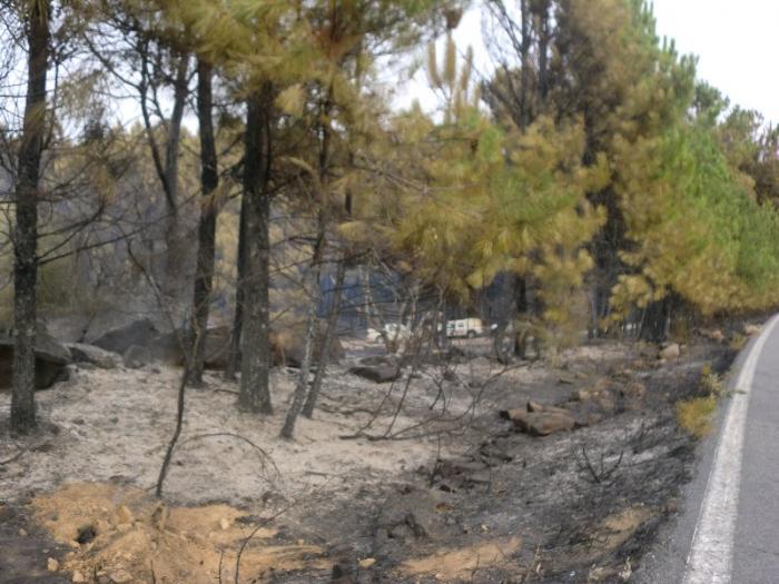 La Asamblea aprueba la creación de una comisión de investigación sobre el incendio de Sierra de Gata