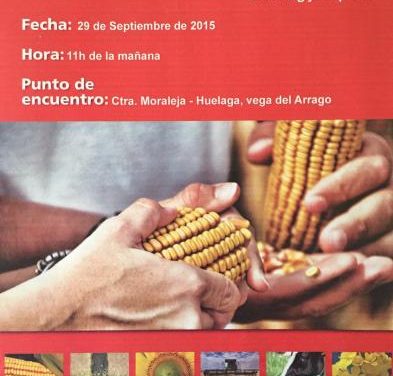 Huélaga acogerá el próximo martes una charla para agricultores sobre el cultivo del maíz