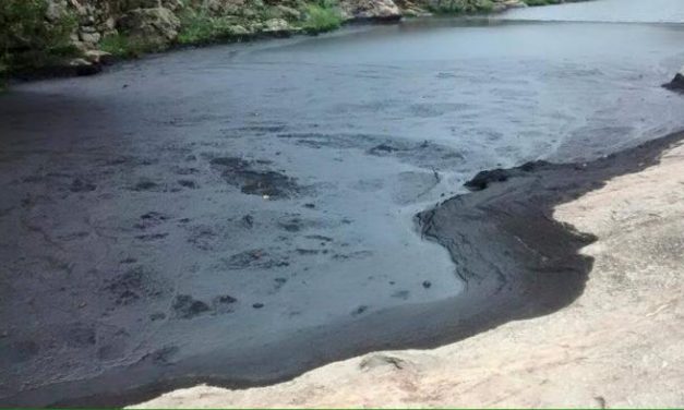El Partido Popular denuncia la presencia de «chapapote» en los ríos y embalses de la Sierra de Gata