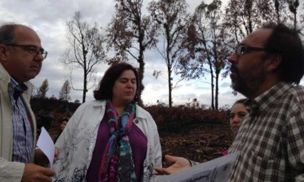 La Junta sacará la madera quemada que aún permanezca en las fincas privadas de Sierra de Gata