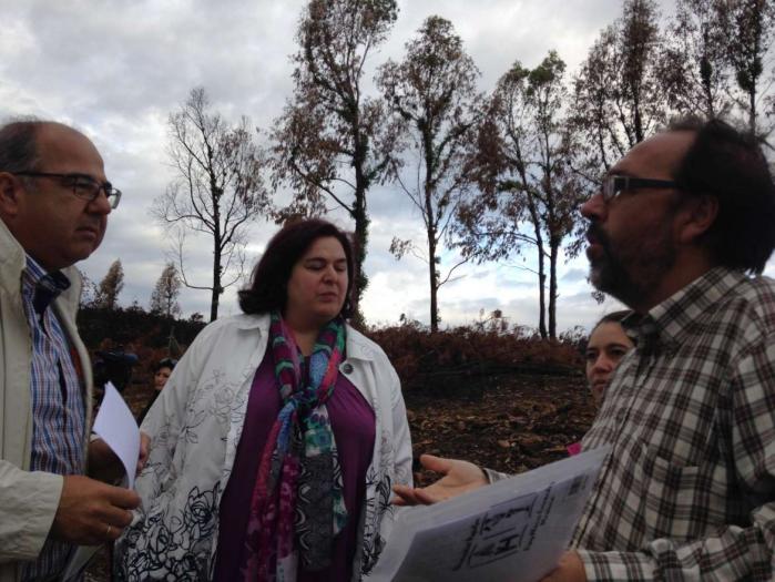 La Junta sacará la madera quemada que aún permanezca en las fincas privadas de Sierra de Gata