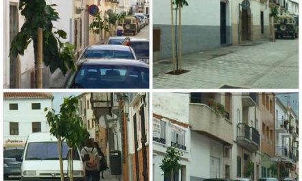 La calle Corredera de Coria cuenta con una veintena de naranjos como nuevos elementos ornamentales