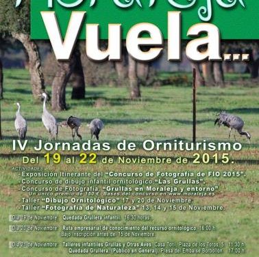 Las IV Jornadas Moraleja Vuela promocionarán el recursos ornitológico del 19 al 22 de este mes