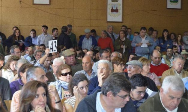 La subasta de bovino de la Agroganadera de Trujillo genera una cifra de negocio de  más de 126.000 euros