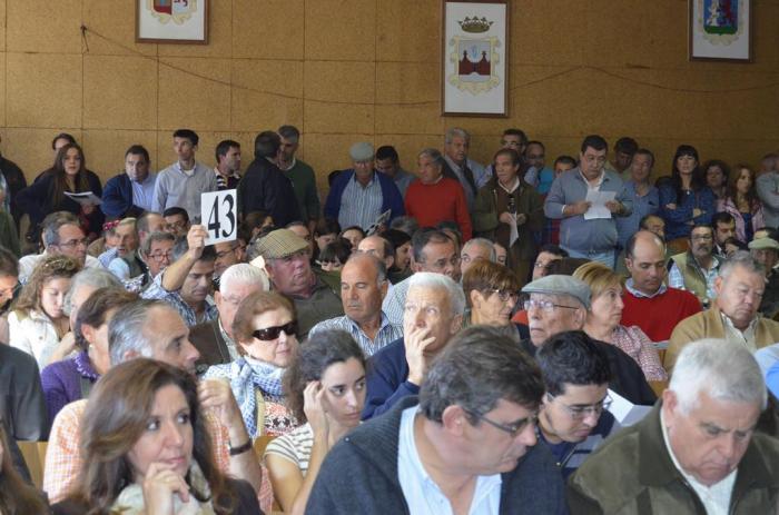 La subasta de bovino de la Agroganadera de Trujillo genera una cifra de negocio de  más de 126.000 euros