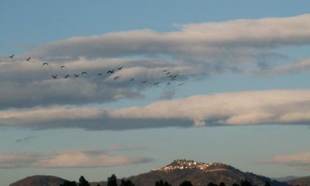 El Ayuntamiento de Moraleja destaca la importancia del turismo ornitológico para promocionar la localidad
