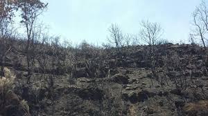El director del 112 define como «muy alto» el nivel de coordinación en el incendio de Sierra de Gata