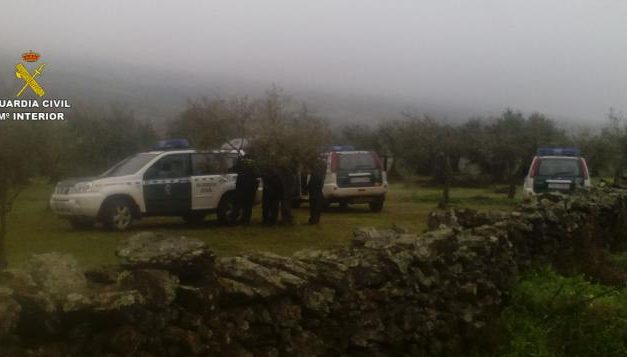 La Guardia Civil sorprende en tres explotaciones agrícolas a once personas sustrayendo aceitunas