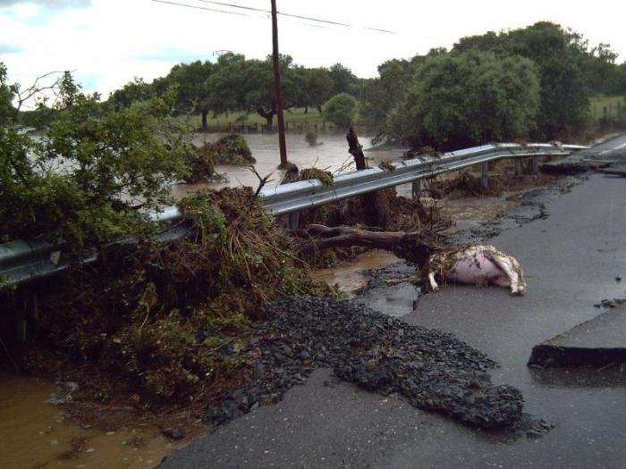 Un arroyo desbordado en Torrecillas  atrapa a dos personas en la carretera y obliga a cortar la vía