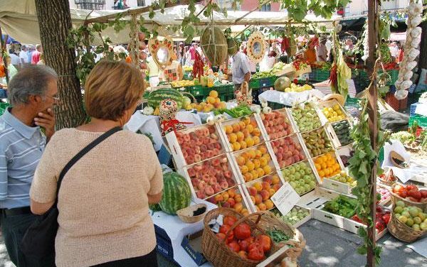 El sector de la fruticultura en Extremadura se consolida como líder en exportaciones extracomunitarias