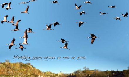 Moraleja promocionará en FIO las nuevas rutas ornitológicas y los parajes de El Borbollón y El Chorrerón