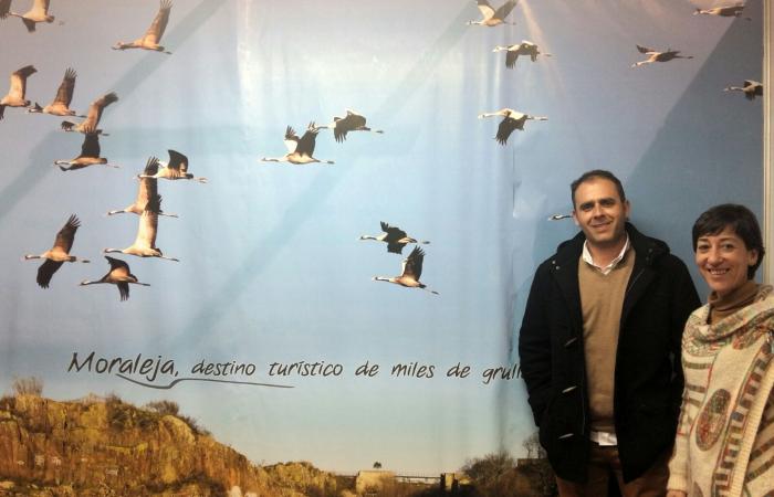 Moraleja se promociona este fin de semana en FIO como «el destino turístico de miles de grullas»