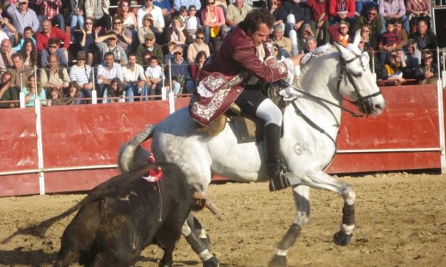 El diestro João Maura  triunfa en la corrida de rejones de la Feria del Toro de Coria con cuatro orejas