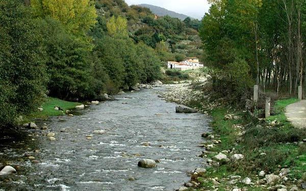 La Sociedad Zoológica de Extremadura denuncia la tala masiva de árboles en las riberas del río Jerte