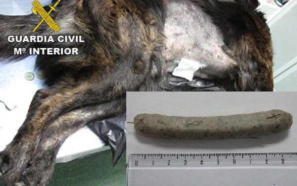 Un hombre pasa a disposición judicial por intentar matar perros con salchichas rellenas de agujas