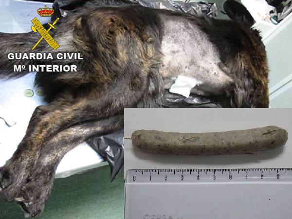 Un hombre pasa a disposición judicial por intentar matar perros con salchichas rellenas de agujas