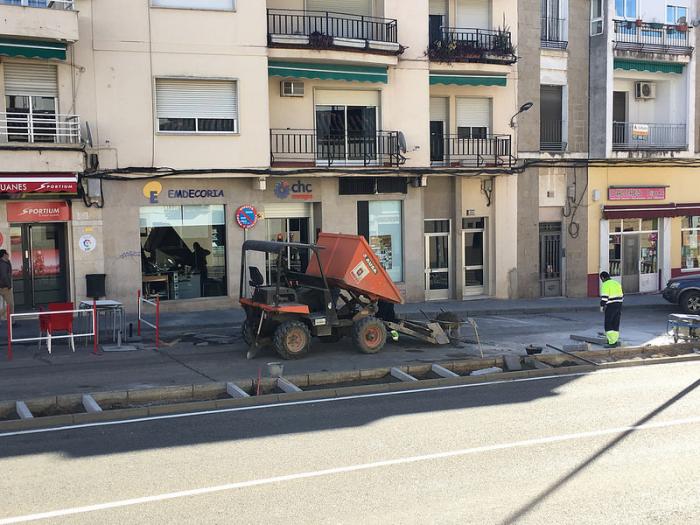 Coria sustituye los setos de la Avenida de Extremadura para mejorar la visibilidad y seguridad en esta vía