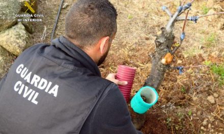 La Guardia Civil detiene a tres personas como autores del robo de 300 kilos de cobre y varios cerezos