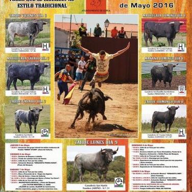 Puebla de Argeme celebrará sus fiestas patronales del 6 al 9 de mayo con la lidia de siete astados