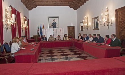Diputación asegura que reforzará el asesoramiento a municipios en cuestiones administrativas y legales