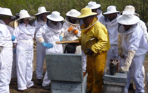 El Centro de Formación del Medio Rural de Moraleja inicia el curso de certificación profesional en apicultura