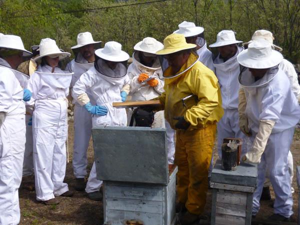 El Centro de Formación del Medio Rural de Moraleja inicia el curso de certificación profesional en apicultura