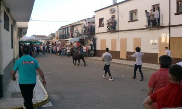 Los festejos taurinos del Primero de Mayo concluyen con un herido en la localidad Moraleja