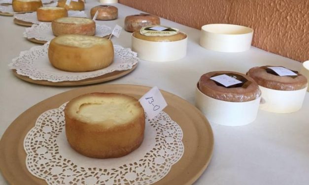 Dos quesos de Málaga, uno manchego y otro extremeño se coronan como mejores quesos de España en Trujillo
