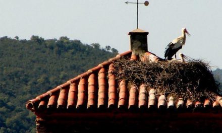 El Club Birding in Extremadura celebra su encuentro anual con un incremento de socios