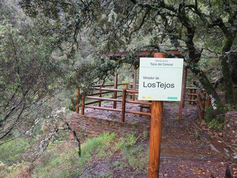 El plazo de inscripción de la ruta senderista «Valle de los Tejos-Pico Arrobuey” finaliza este jueves