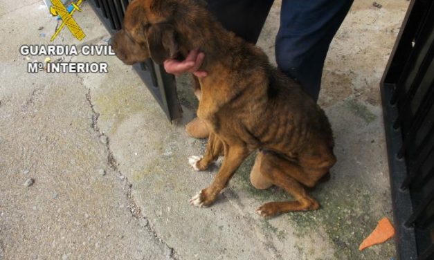 La Guardia Civil investiga a un vecino de Piedras Albas por presunto maltrato a su propio perro