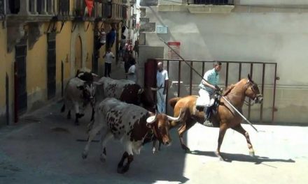 El primer festejo con reses de los Sanjuanes de Coria finaliza sin incidentes reseñables